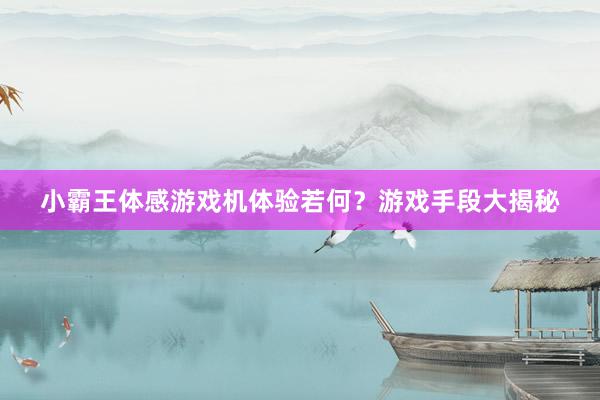 小霸王体感游戏机体验若何？游戏手段大揭秘