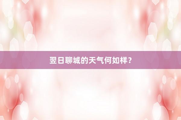 翌日聊城的天气何如样？