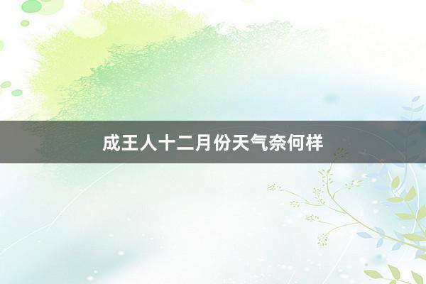 成王人十二月份天气奈何样